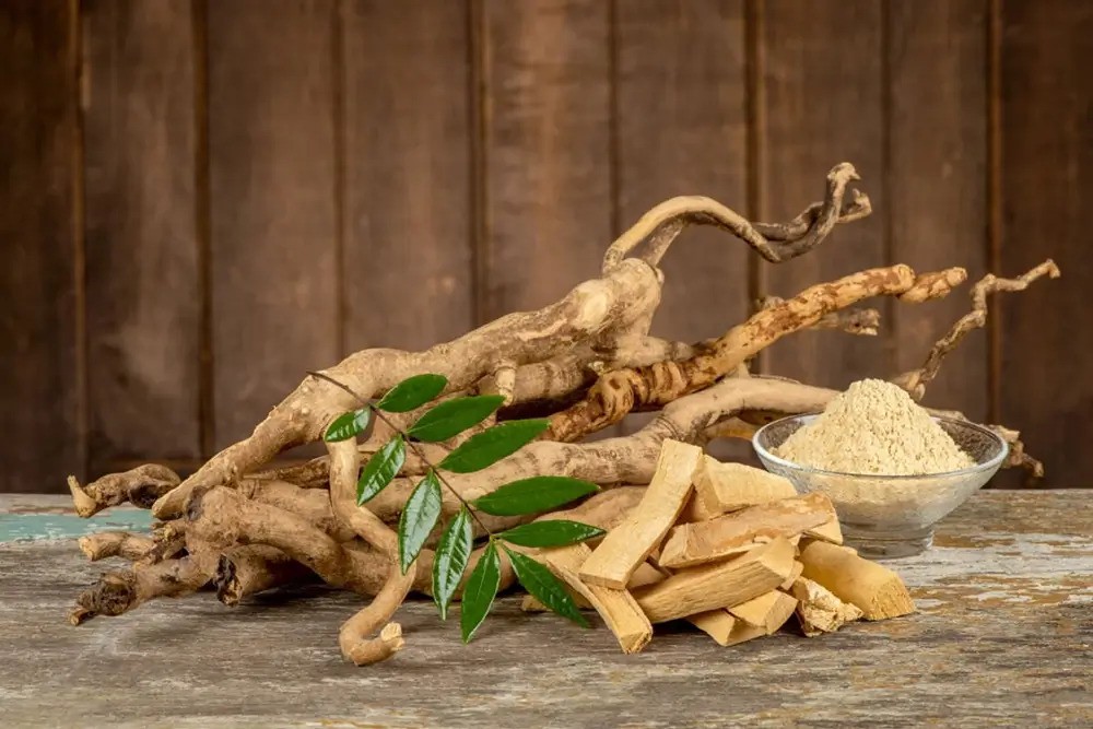 what-is-tongkat-ali