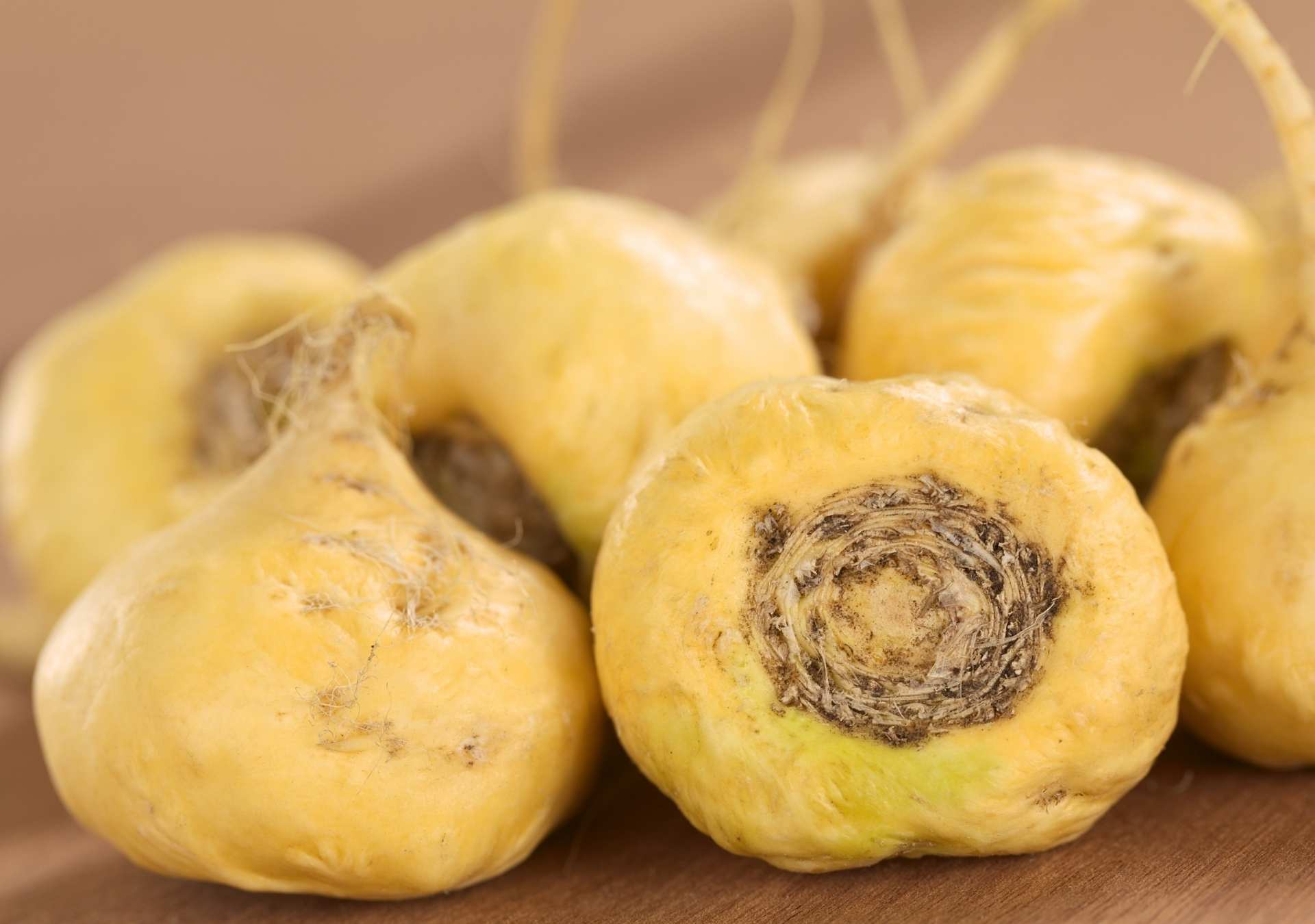 what-is-maca-root