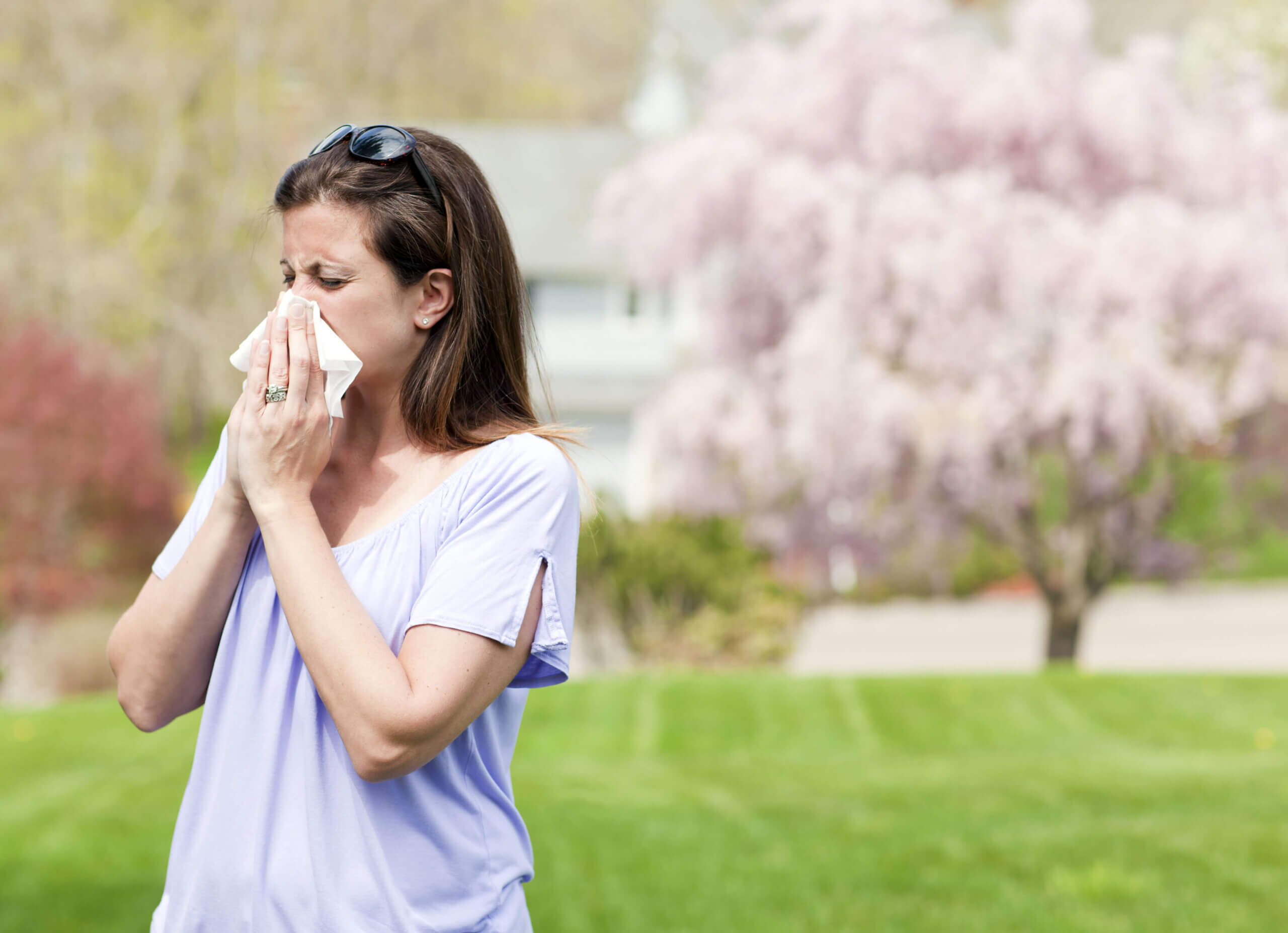 what-is-a-pollen-allergy