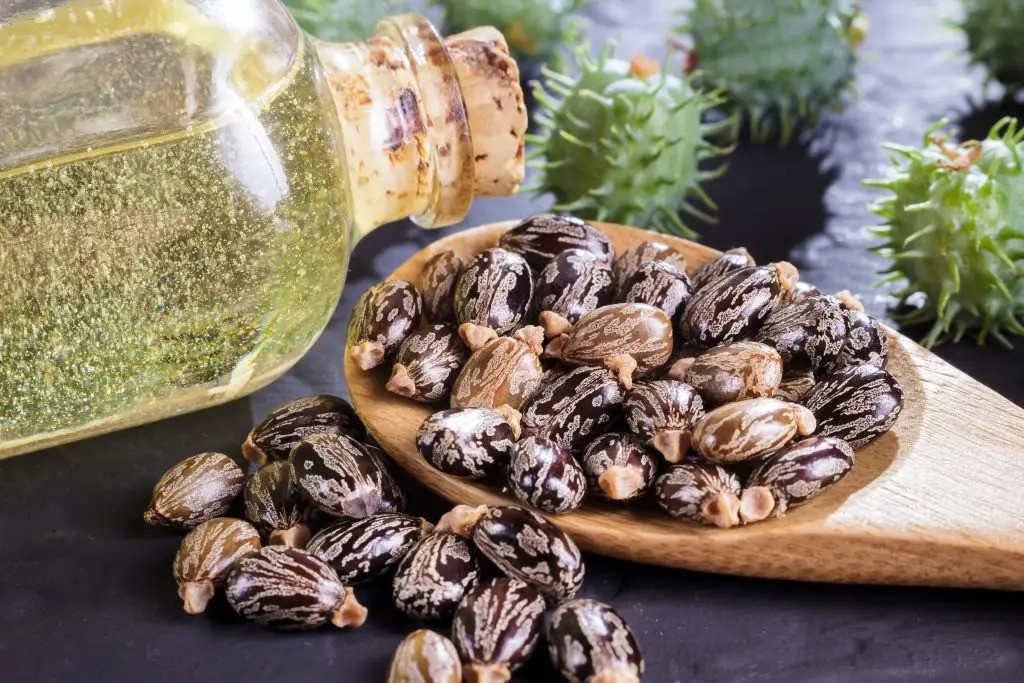 benefits-of-castor-oil-in-urdu