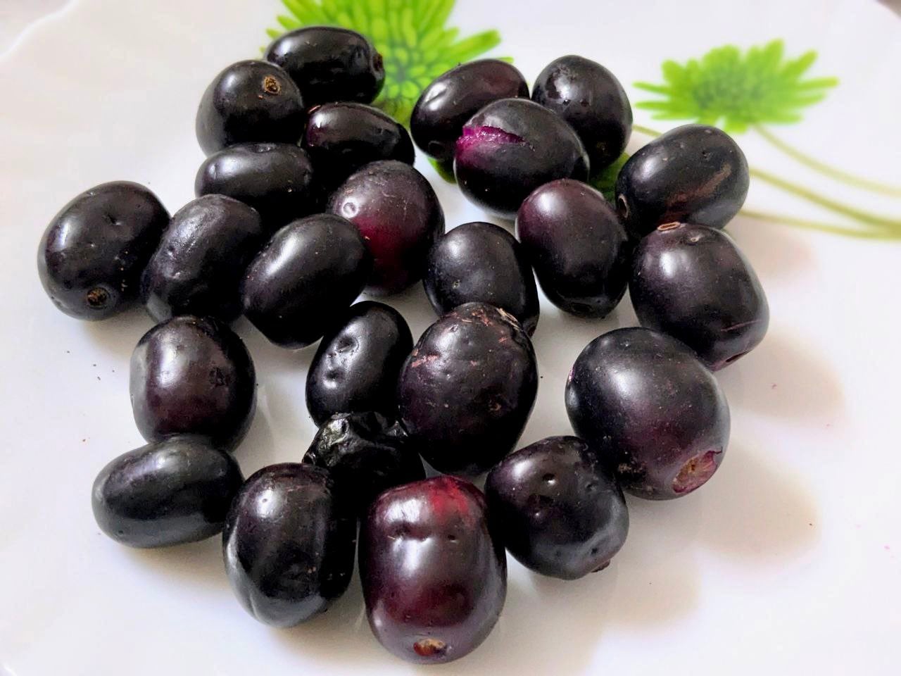 java-plum-benefits