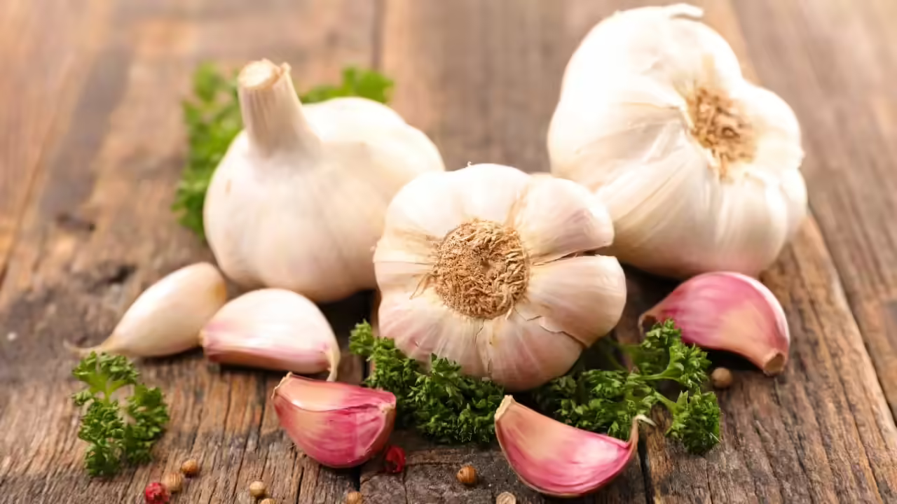 garlic-for-erectile-dysfunction-apka-muaalij