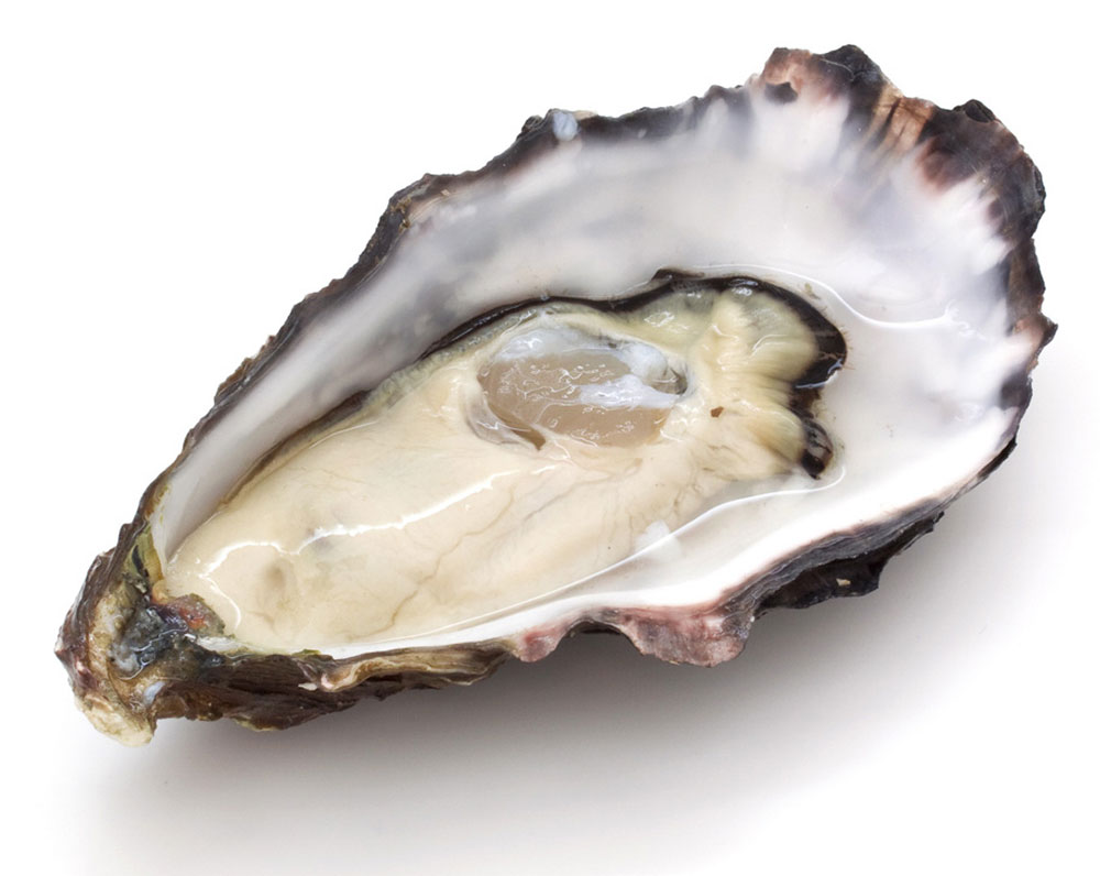 oysters-and-shellfish-for-erectile-dysfunction-apka-muaalij