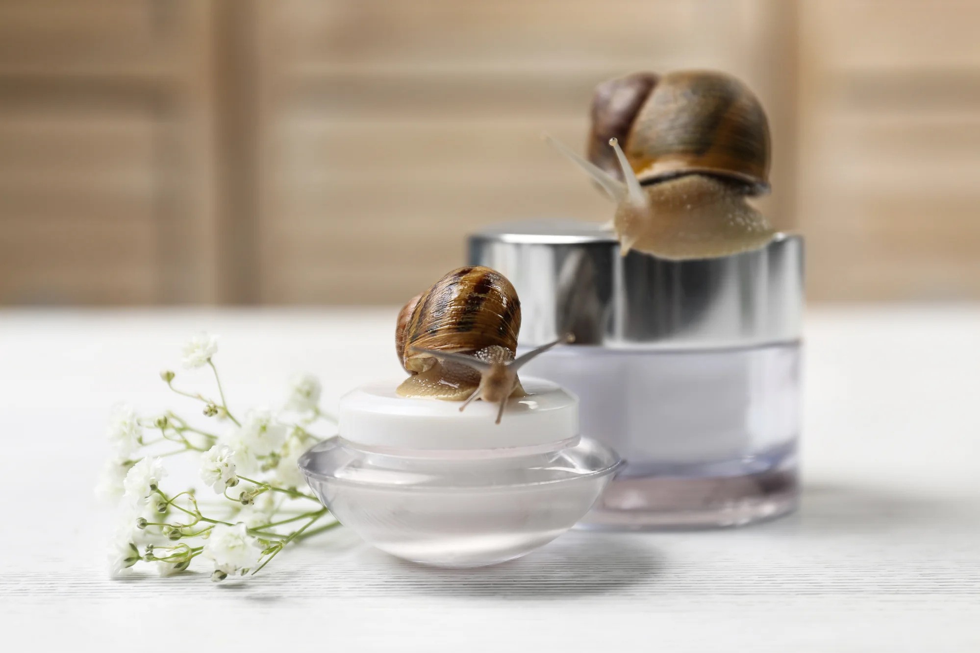 di-snail-mucin-gel-mask