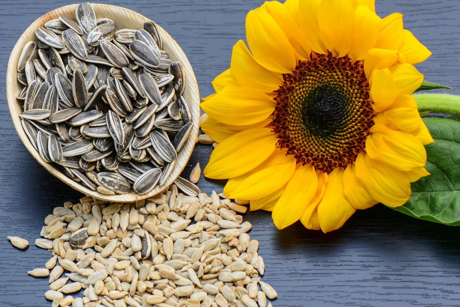 benefits-of-sunflower-seeds-for-men