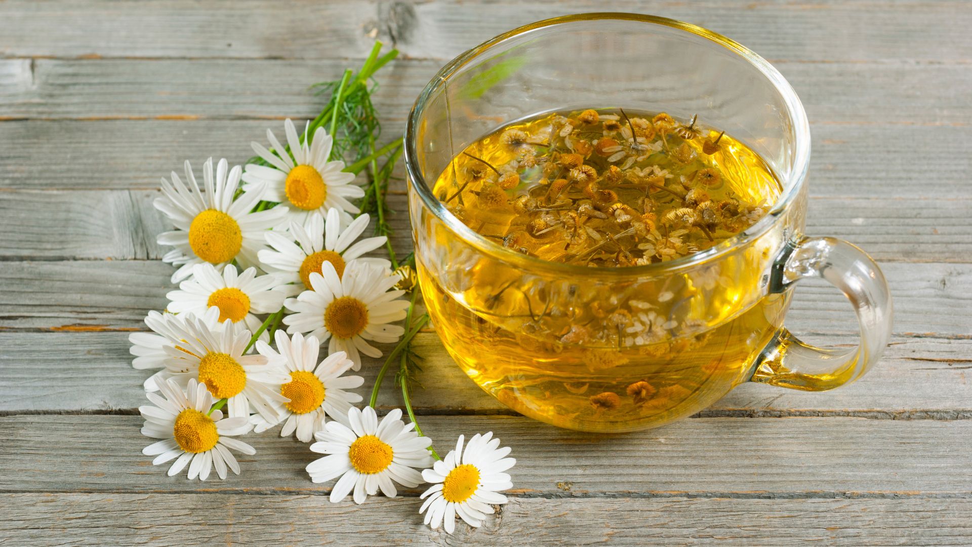 benefits-of-chamomile-tea