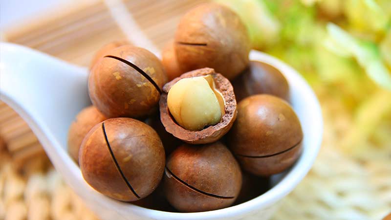 15-benefits-of-macadamia-nuts-for-men
