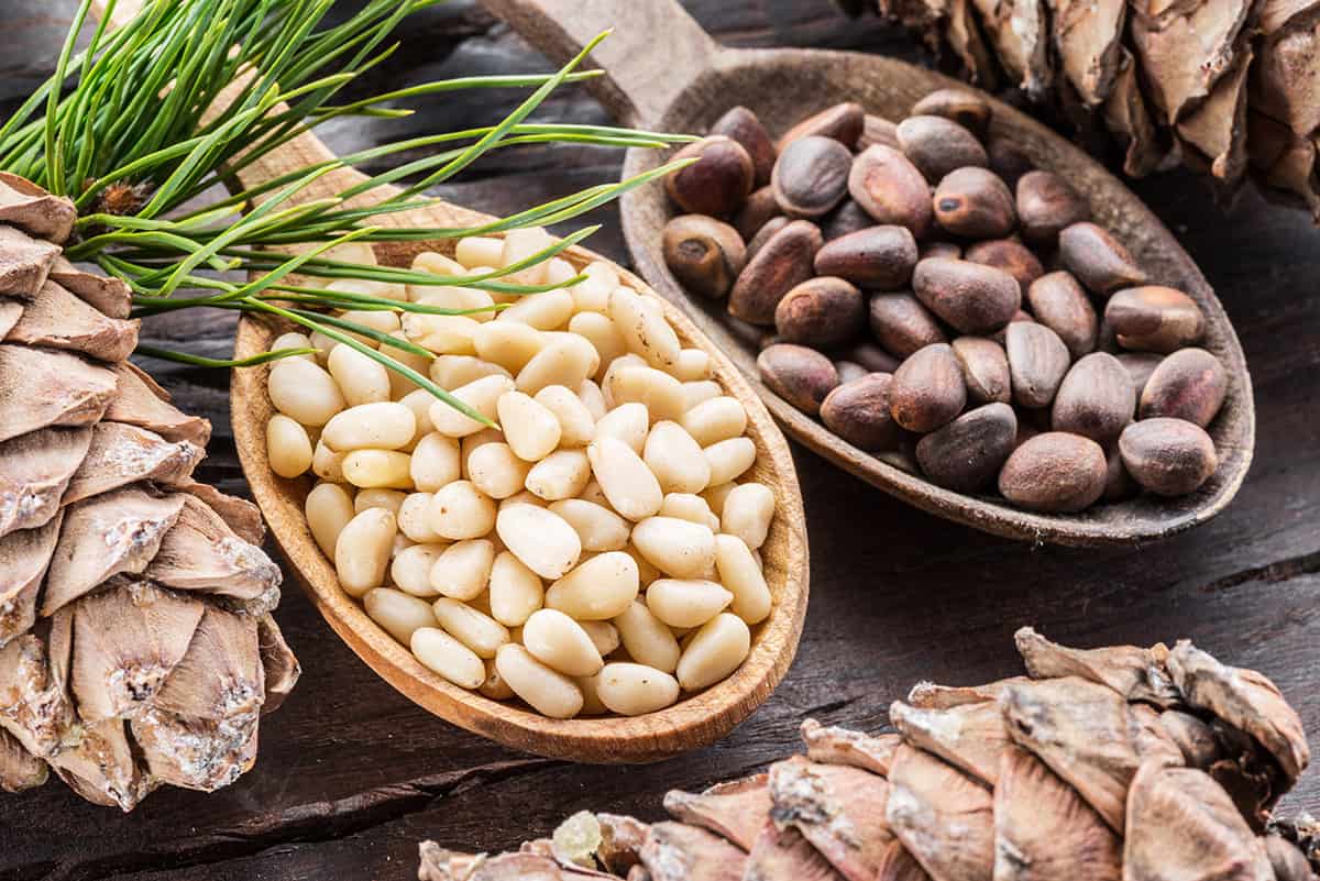 benefits-of-pine-nuts-for-men